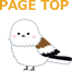 ページトップへ